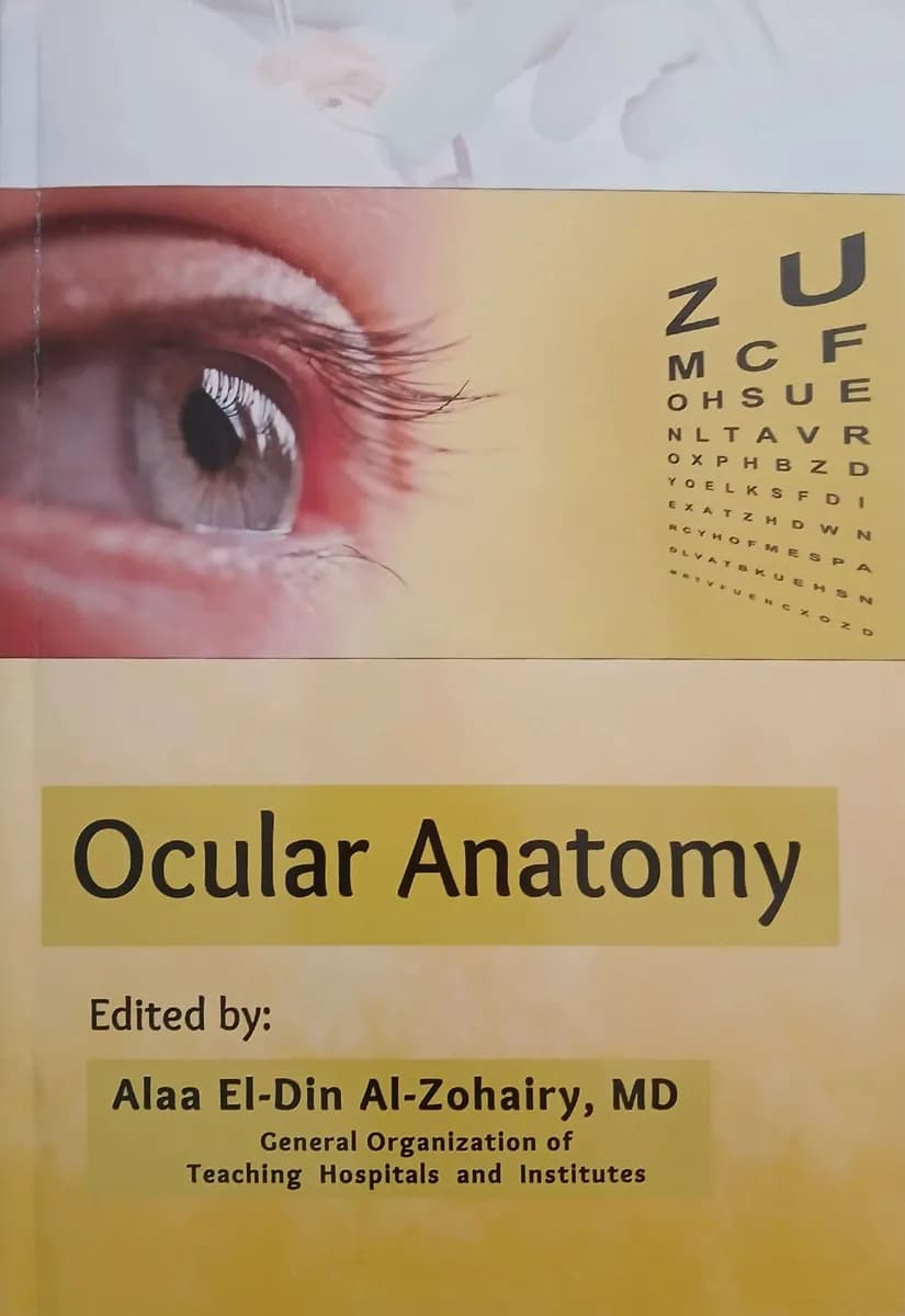 Ocular Anatomy