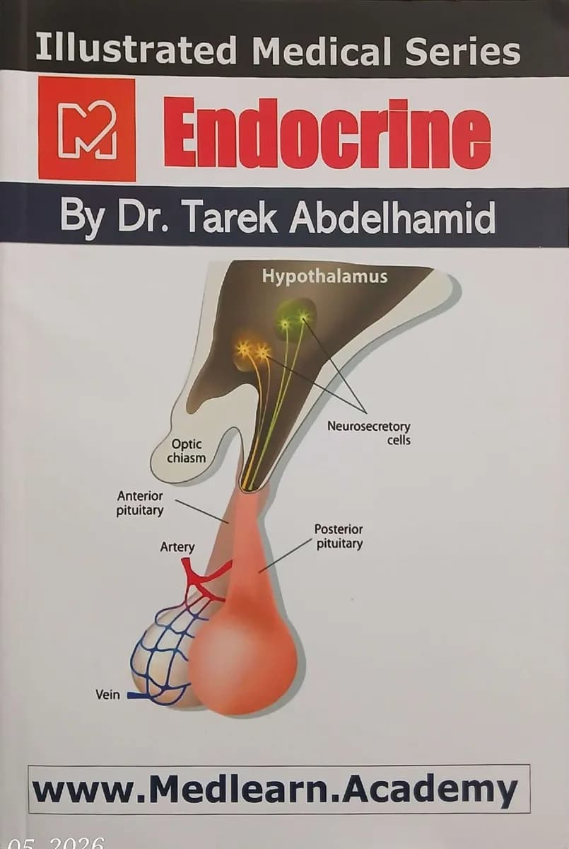 Illustrated Medical Series - Endocrine