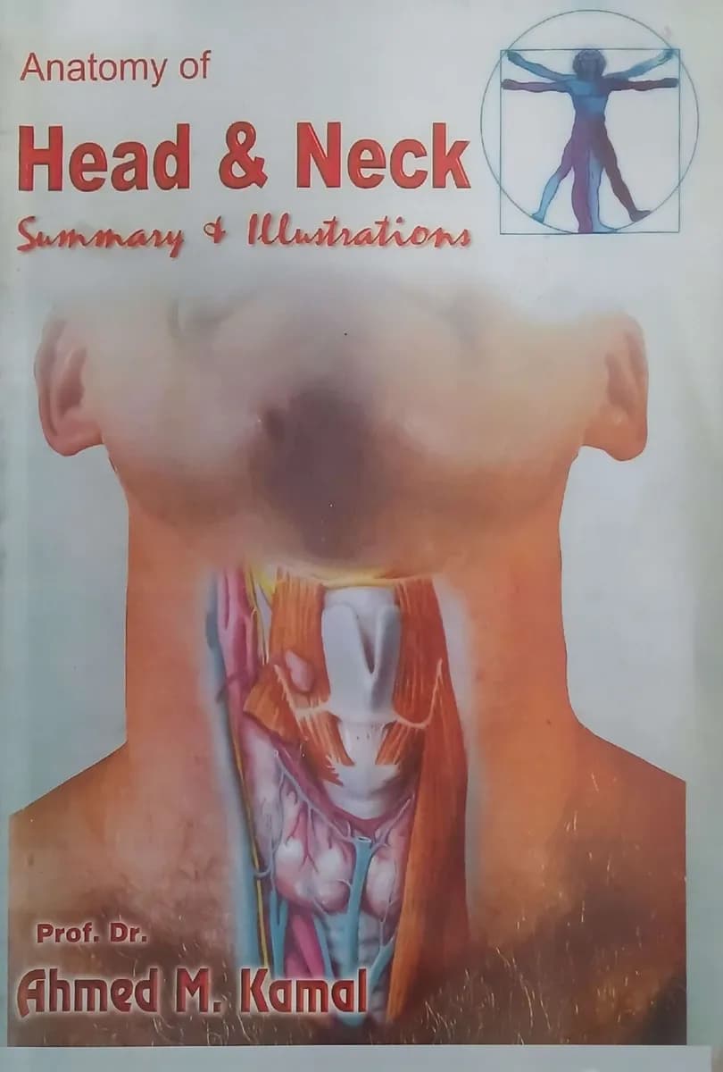 Anatomy of Head & Neck: Summary & Illustrations