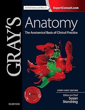 Gray's Anatomy